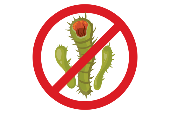 Download Anti Germ Symbol. Infection Alert Red Si - Infection Collection